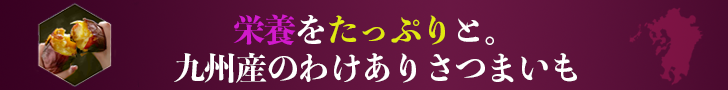 バナー広告2