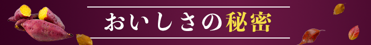 バナー広告3